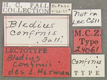 Media type: image;   Entomology 24061 Aspect: labels